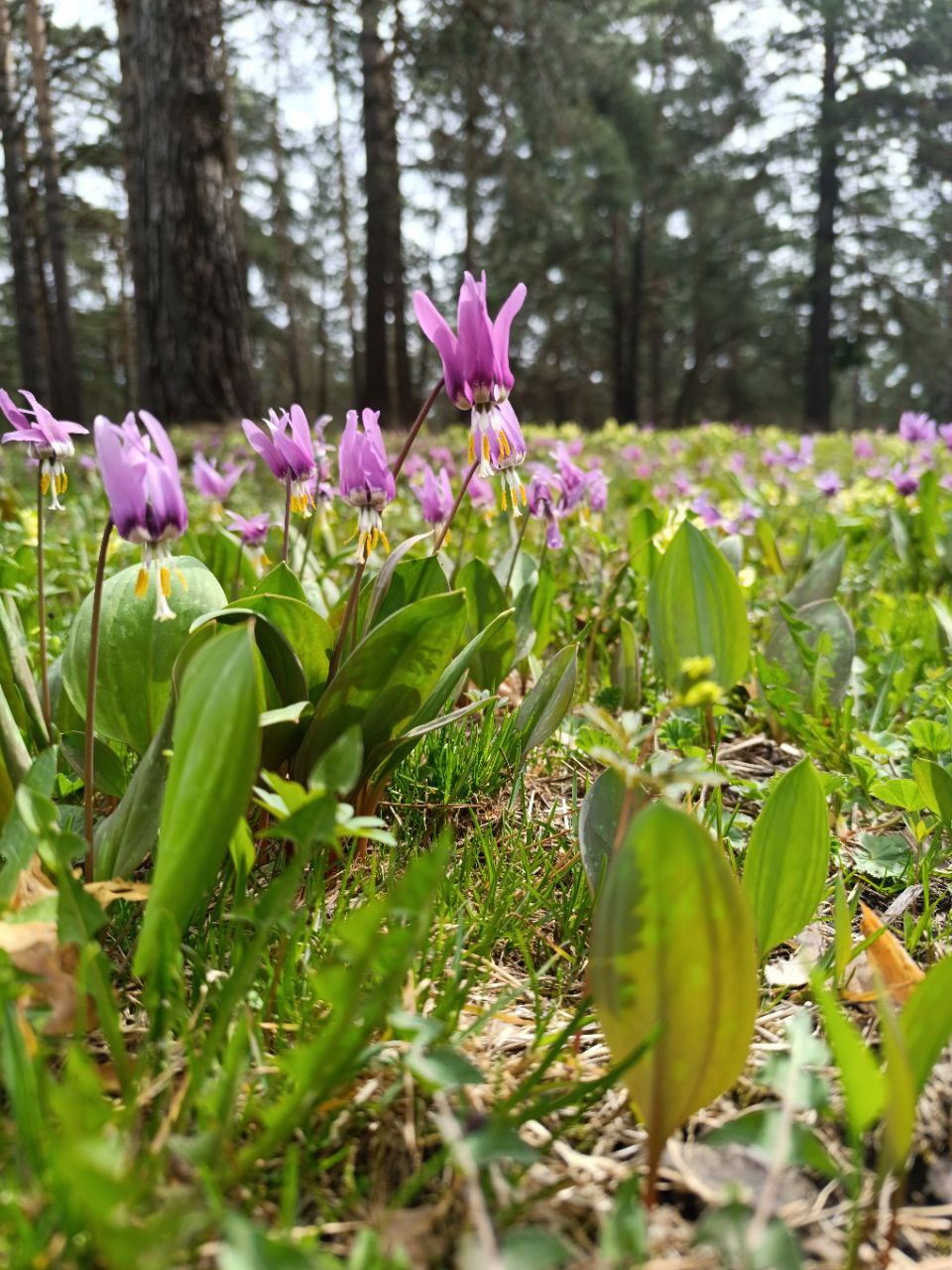 photo 2025 07 09 08 04 58